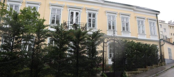 6غرفة فيلا في Baden, Austria رقم 254090 21