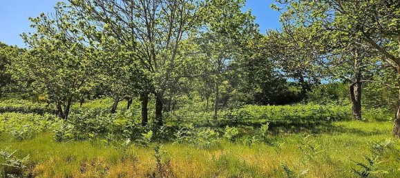 Casa T3 em Baião, Portugal N.º 15976 15