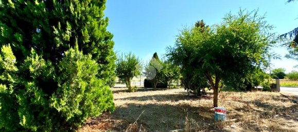 Casa de 4 dormitorios en San Mauro Pascoli, Italy No. 223335 39