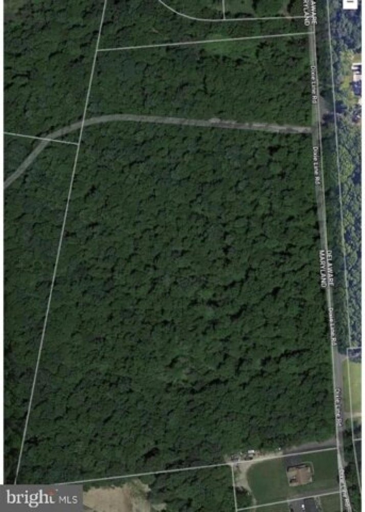  Land in Elkton, USA No. 479489