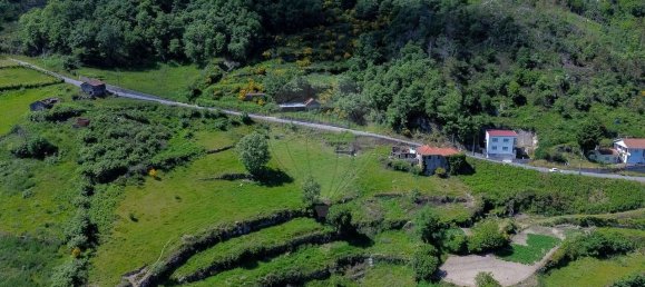 3 Schlafzimmer Haus in Baiao, Portugal, Nr. 29377 10