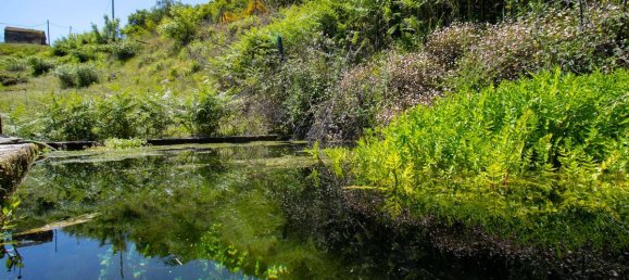 3 Schlafzimmer Haus in Baiao, Portugal, Nr. 29377 19