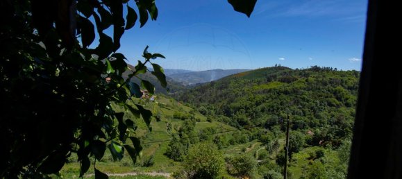 3 Schlafzimmer Haus in Baiao, Portugal, Nr. 29377 14