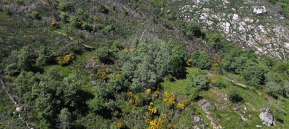 3 Schlafzimmer Haus in Baiao, Portugal, Nr. 29377 23