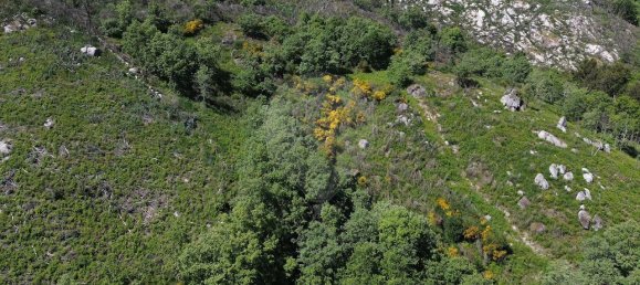 3 Schlafzimmer Haus in Baiao, Portugal, Nr. 29377 26