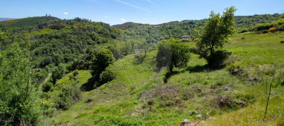 3 Schlafzimmer Haus in Baiao, Portugal, Nr. 29377 22