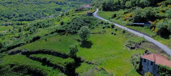 3 Schlafzimmer Haus in Baiao, Portugal, Nr. 29377 12