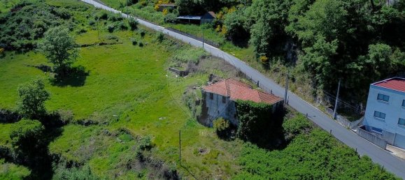 3 Schlafzimmer Haus in Baiao, Portugal, Nr. 29377 11