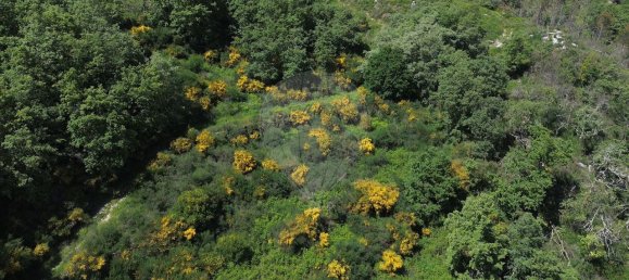 3 Schlafzimmer Haus in Baiao, Portugal, Nr. 29377 25