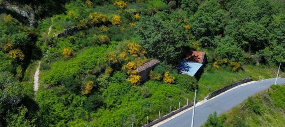 3 Schlafzimmer Haus in Baiao, Portugal, Nr. 29377 9