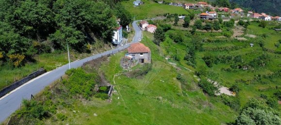 3 Schlafzimmer Haus in Baiao, Portugal, Nr. 29377 7