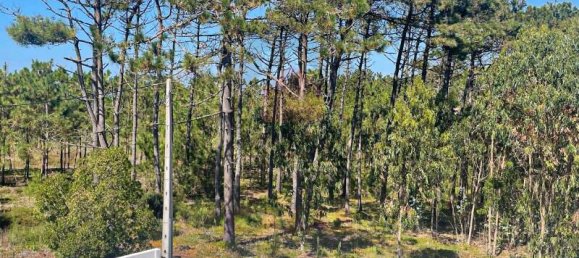 3 Schlafzimmer Haus in Foz do Arelho, Portugal, Nr. 121074 41