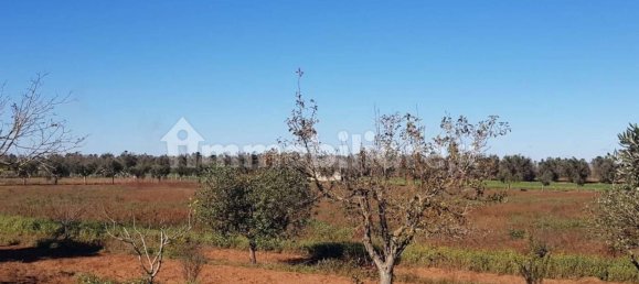 3 bedrooms Villa in Galatina, Italy No. 319300 22