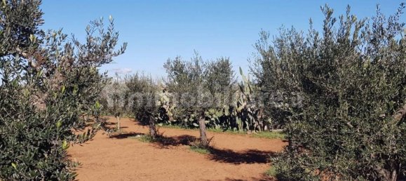 3 bedrooms Villa in Galatina, Italy No. 319300 23