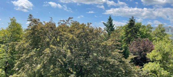 Dúplex de 4 habitaciónes en Gumpoldskirchen, Austria No. 143404 13