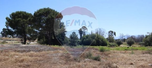 Grundstück in Senhorim, Portugal 12533m², Nr. 73055 4