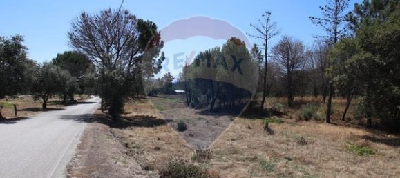 Grundstück in Senhorim, Portugal 12533m², Nr. 73055 3