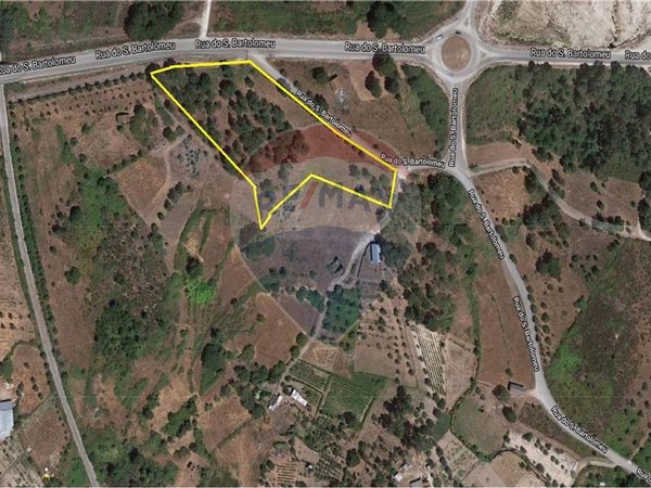 Grundstück in Senhorim, Portugal 12533m², Nr. 73055