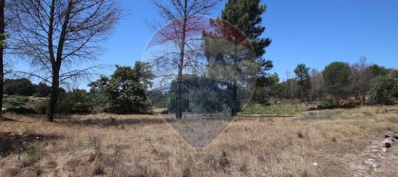 Grundstück in Senhorim, Portugal 12533m², Nr. 73055 2