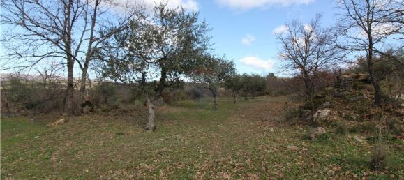 1 غرف نوم منزل في Belmonte, Portugal رقم 70122 3