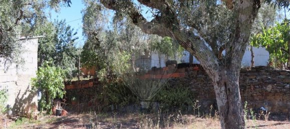 1 Schlafzimmer Haus in Santo Andre das Tojeiras, Portugal, Nr. 74676 25