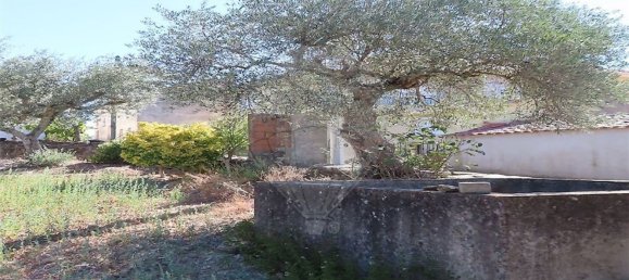 1 Schlafzimmer Haus in Santo Andre das Tojeiras, Portugal, Nr. 74676 24