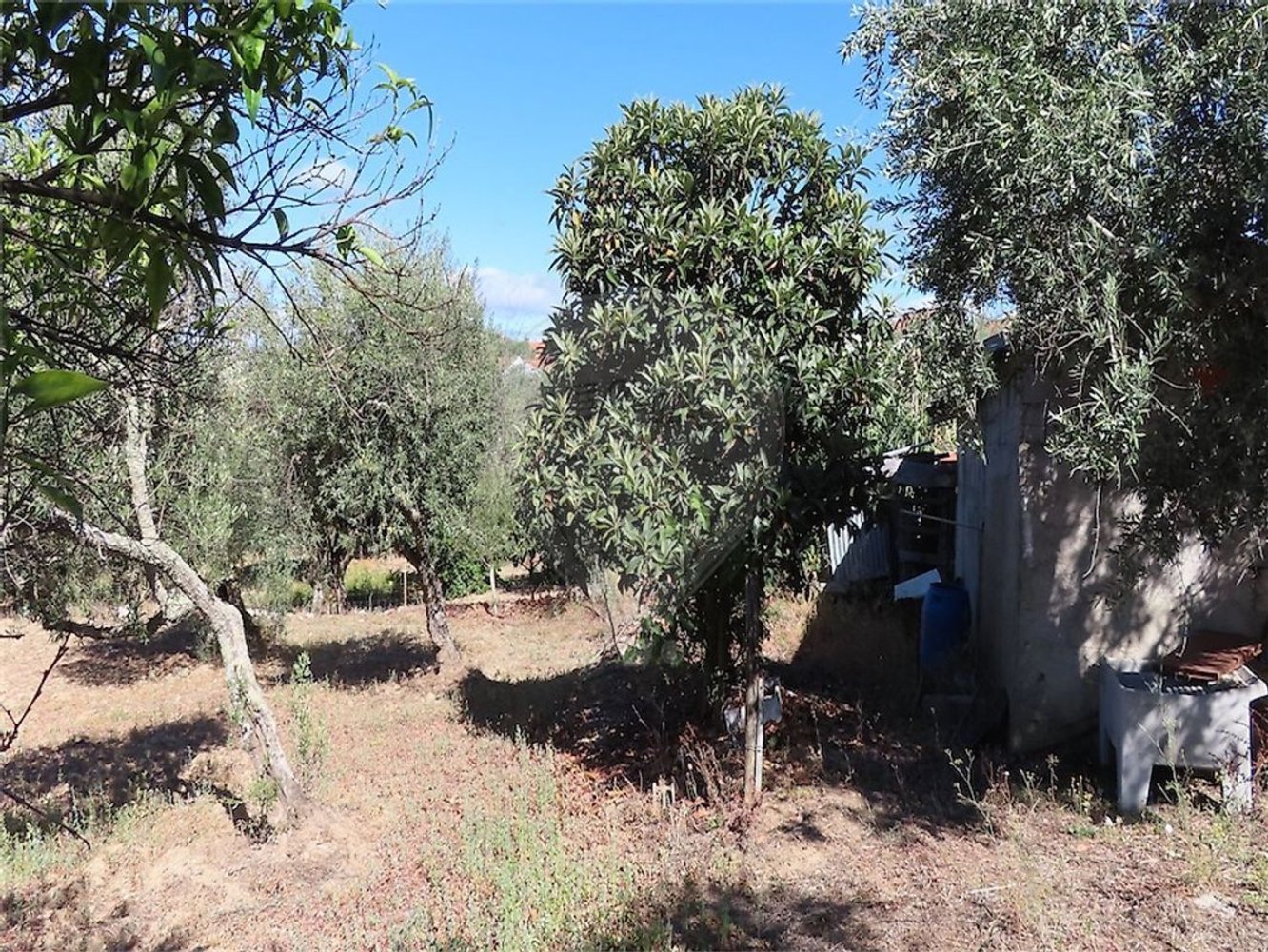 1 Schlafzimmer Haus in Santo Andre das Tojeiras, Portugal, Nr. 74676