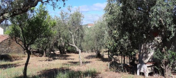 1 Schlafzimmer Haus in Santo Andre das Tojeiras, Portugal, Nr. 74676 5