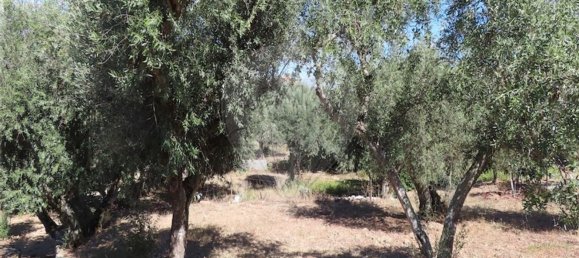 1 Schlafzimmer Haus in Santo Andre das Tojeiras, Portugal, Nr. 74676 21