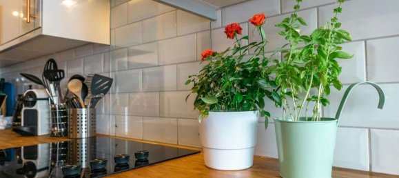 3 غرف نوم فيلا في Rosenthal, Germany رقم 293261 7