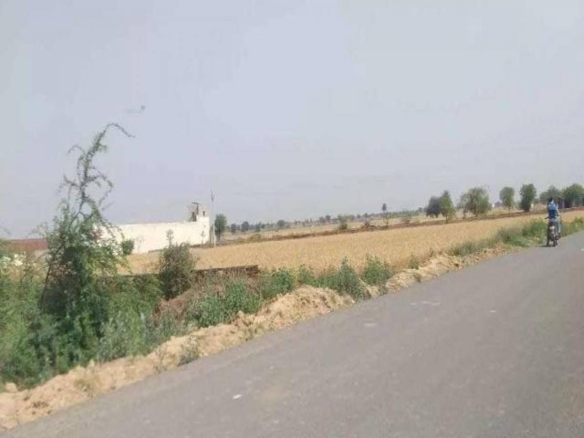  قطعة أرض في Noida, India رقم 65649