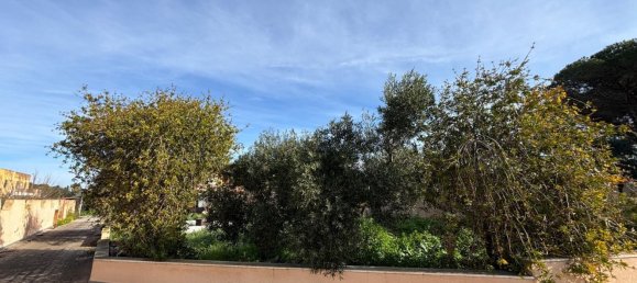 5 rooms Villa in Trapani, Italy No. 47665 8