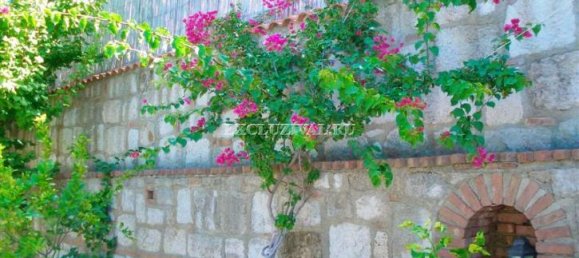 Villa 4+1 in Bodrum, Turkey No. 28234 2