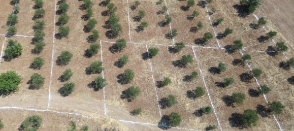  Land in Russelsheim, Germany No. 294893 12