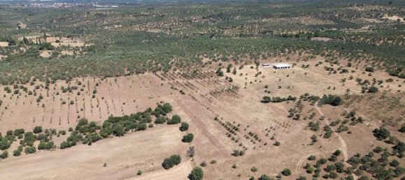  Land in Russelsheim, Germany No. 294893 8