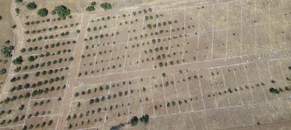  Land in Russelsheim, Germany No. 294893 10