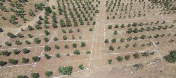  Land in Russelsheim, Germany No. 294893 9