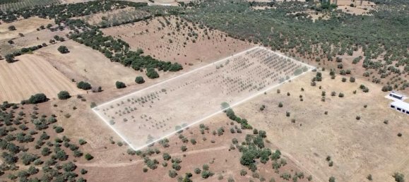  Land in Russelsheim, Germany No. 294893 6