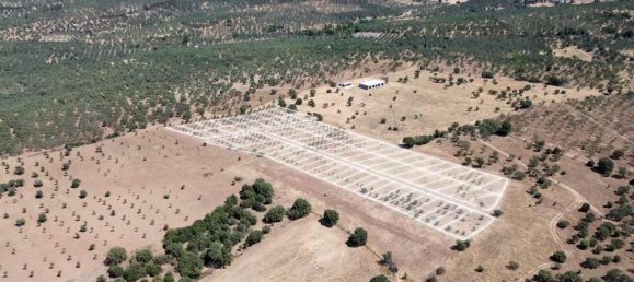  Land in Russelsheim, Germany No. 294893 7