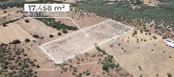  Land in Russelsheim, Germany No. 294893 5