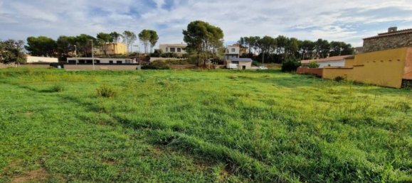 Terreno en Garriguella, Spain 561 m² No. 73523 4