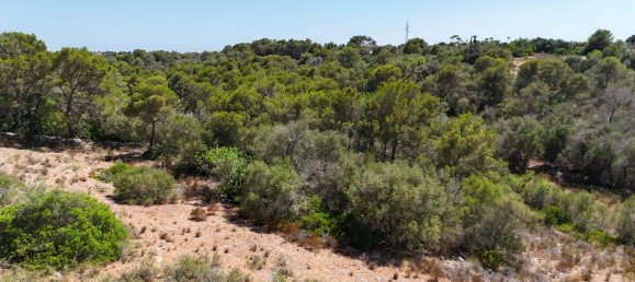 Земельный участок в Майорка, Испания № 163278 4