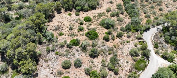 Земельный участок в Майорка, Испания № 163278 2