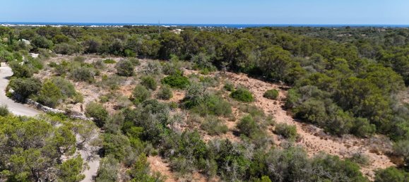 Земельный участок в Майорка, Испания № 163278 6