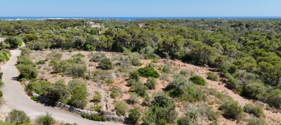 Земельный участок в Майорка, Испания № 163278 5