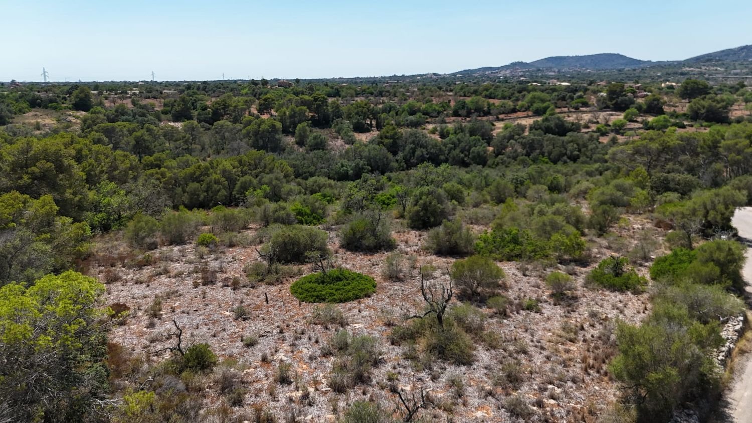 Земельный участок в Майорка, Испания № 163278