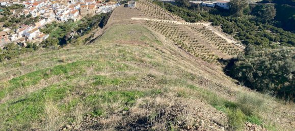 قطعة أرض في Vinuela, Spain رقم 165377 13