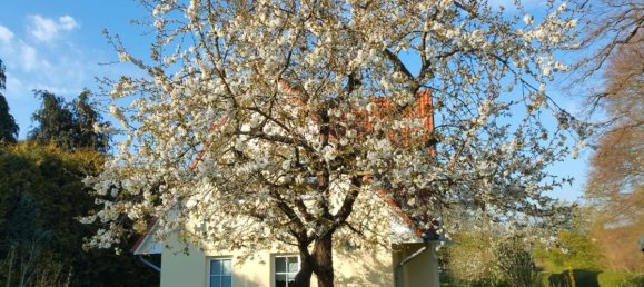 2 Schlafzimmer Haus in Mecklenburgische Seenplatte, Germany, Nr. 140626 5
