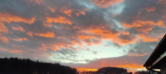 6-Zimmer Bungalow in Nestelbach bei Graz, Austria, Nr. 222275 2