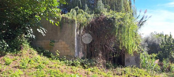 5 rooms House in Frosinone, Italy No. 155238 5